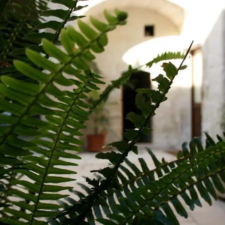 Bed & Breakfast Dimora Storica 